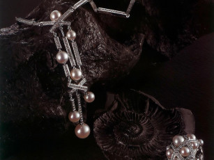 Картинка разное украшения аксессуары веера