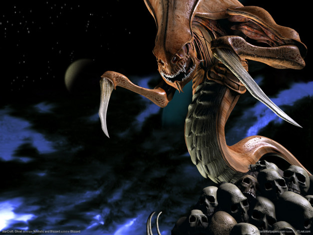 Обои картинки фото видео, игры, starcraft, ghost