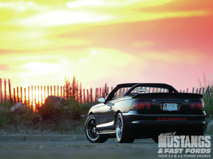 Картинка автомобили mustang cobra