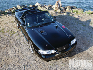 Картинка автомобили mustang cobra