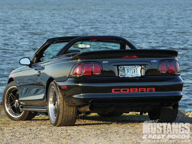 Обои картинки фото автомобили, mustang, cobra