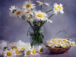 Картинка цветы ромашки корзинка кувшин