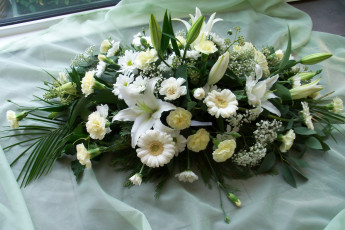 Картинка цветы букеты композиции букет герберы гвоздики