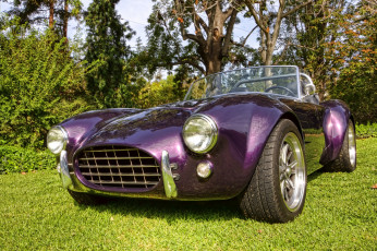 Картинка cobra автомобили выставки+и+уличные+фото выставка автошоу