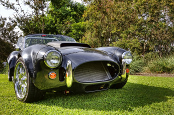 обоя cobra, автомобили, выставки и уличные фото, автошоу, выставка