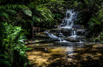 Картинка природа водопады река водопад лес