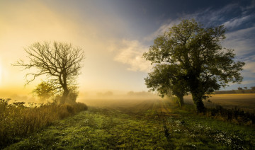Картинка природа восходы закаты рассвет деревья поле