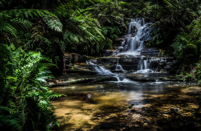 Обои картинки фото природа, водопады, река, водопад, лес