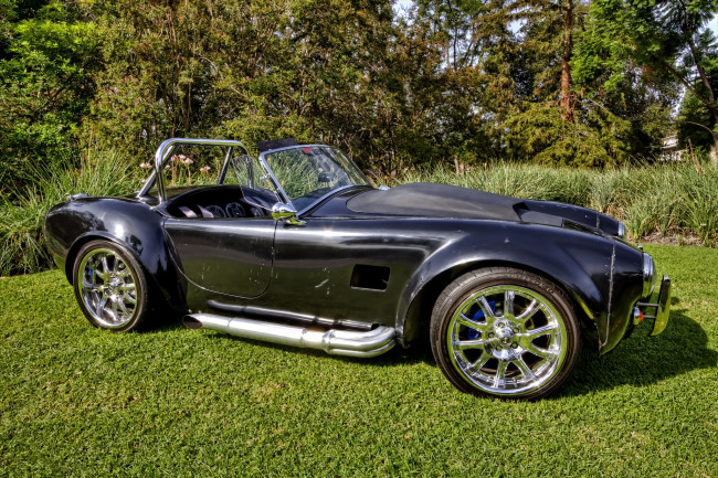 Обои картинки фото cobra, автомобили, выставки и уличные фото, автошоу, выставка