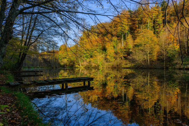 Обои картинки фото природа, реки, озера, мостки, река, лес