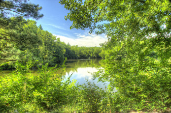 Картинка природа реки озера лес река