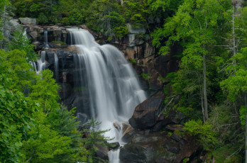Картинка природа водопады лес река водопад