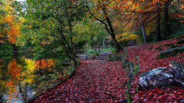 Картинка природа реки озера лес река осень