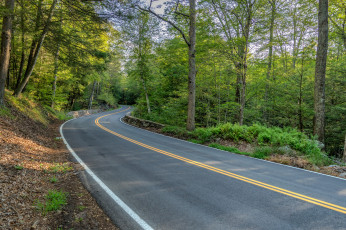 Картинка природа дороги тракт