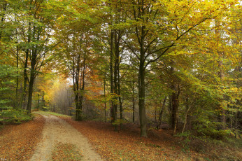 Картинка природа дороги тракт