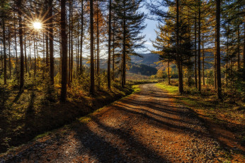 Картинка природа дороги тракт