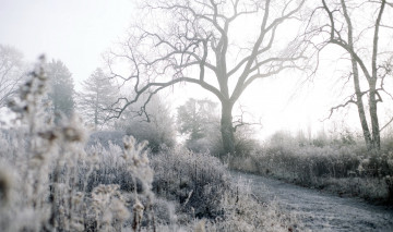 Картинка природа дороги осень дорога иней