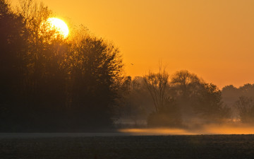 Картинка природа восходы закаты деревья закат