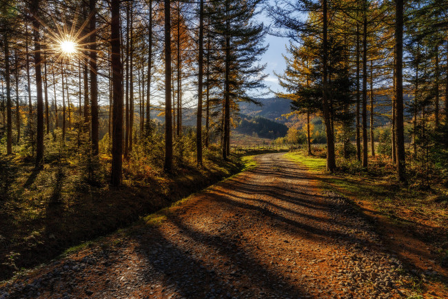 Обои картинки фото природа, дороги, тракт