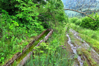 Картинка природа дороги простор