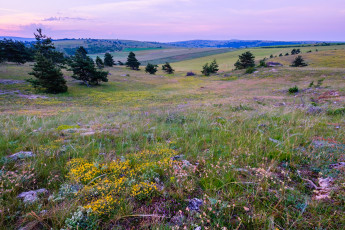 Картинка природа пейзажи простор