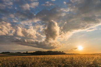 Картинка природа восходы закаты простор