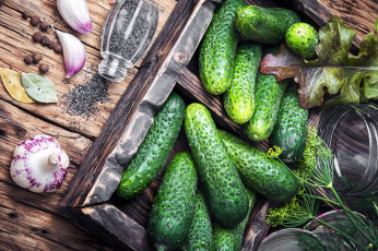 Картинка еда огурцы перец укроп огурчики чеснок
