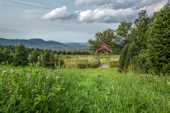 Картинка природа пейзажи простор