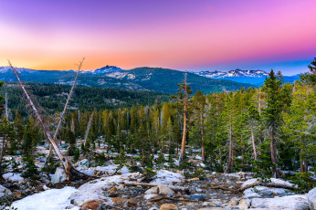 Картинка природа пейзажи простор