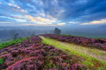 Картинка природа пейзажи простор