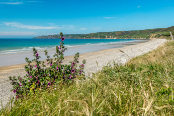 Картинка природа побережье простор