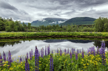 Картинка природа реки озера простор