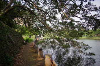 Картинка природа реки озера простор