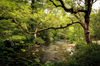 Картинка природа реки озера простор