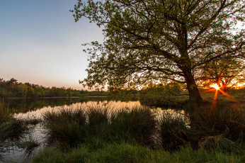 Картинка природа реки озера простор