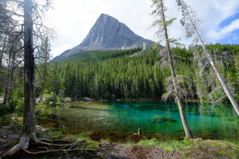 Картинка природа реки озера простор