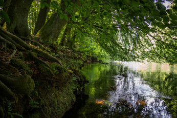 Картинка природа реки озера простор