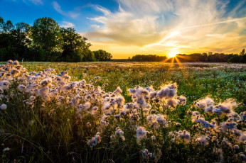 Картинка природа восходы закаты простор