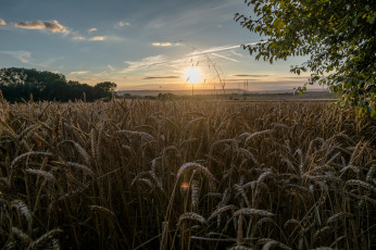 Картинка природа восходы закаты простор