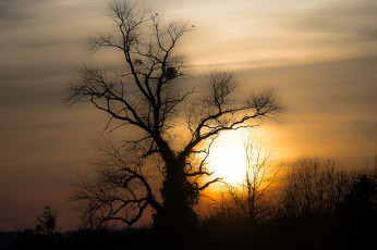 Картинка природа восходы закаты простор