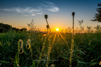 Картинка природа восходы закаты простор