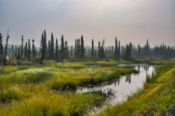 Картинка природа реки озера простор