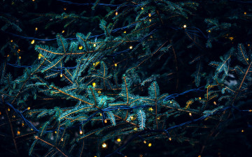 Картинка праздничные Ёлки гирлянда елка