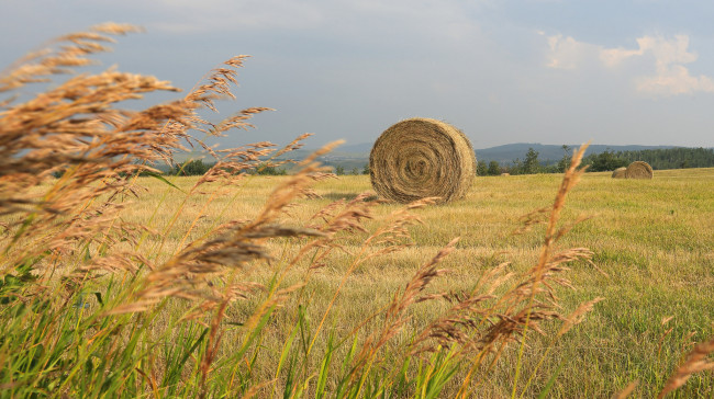 Обои картинки фото природа, поля, простор