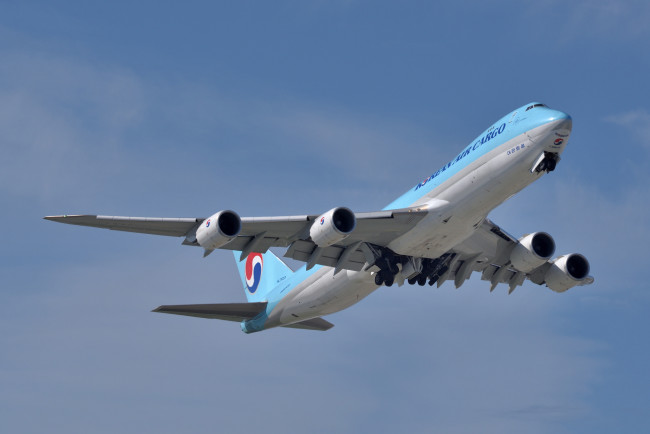 Обои картинки фото авиация, грузовые самолёты, грузоперевозки, карго