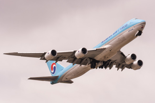 Обои картинки фото авиация, грузовые самолёты, карго, грузоперевозки