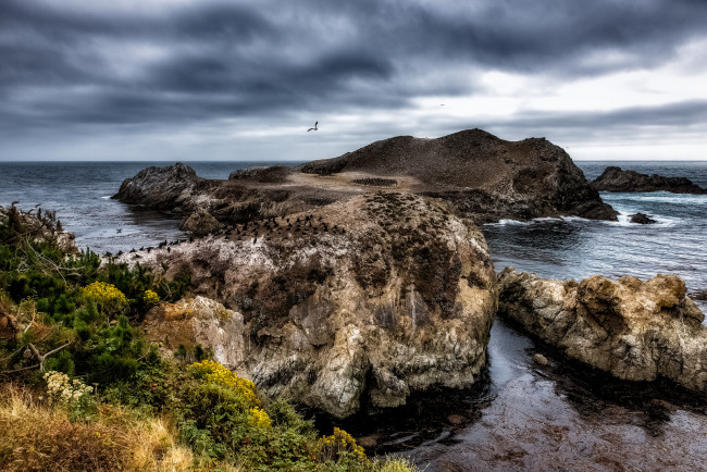 Обои картинки фото природа, побережье, простор