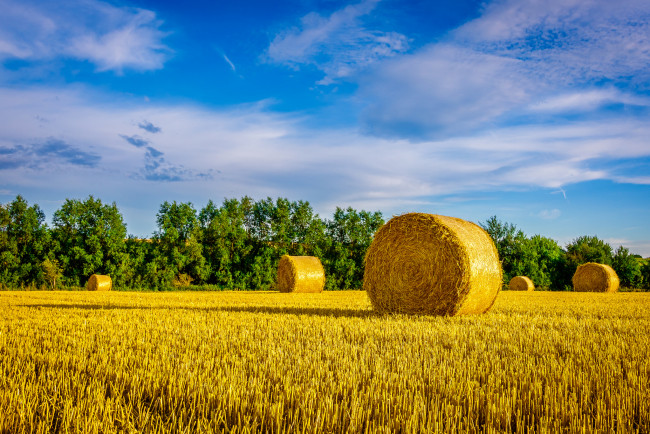 Обои картинки фото природа, поля, простор