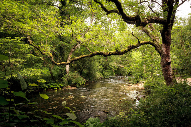 Обои картинки фото природа, реки, озера, простор