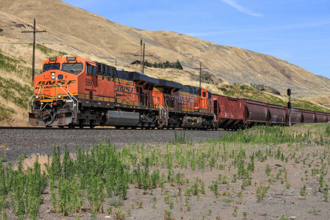 Обои картинки фото техника, поезда, локомотив, состав